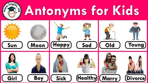 antonyms for epidemic|easy antonyms for kids.